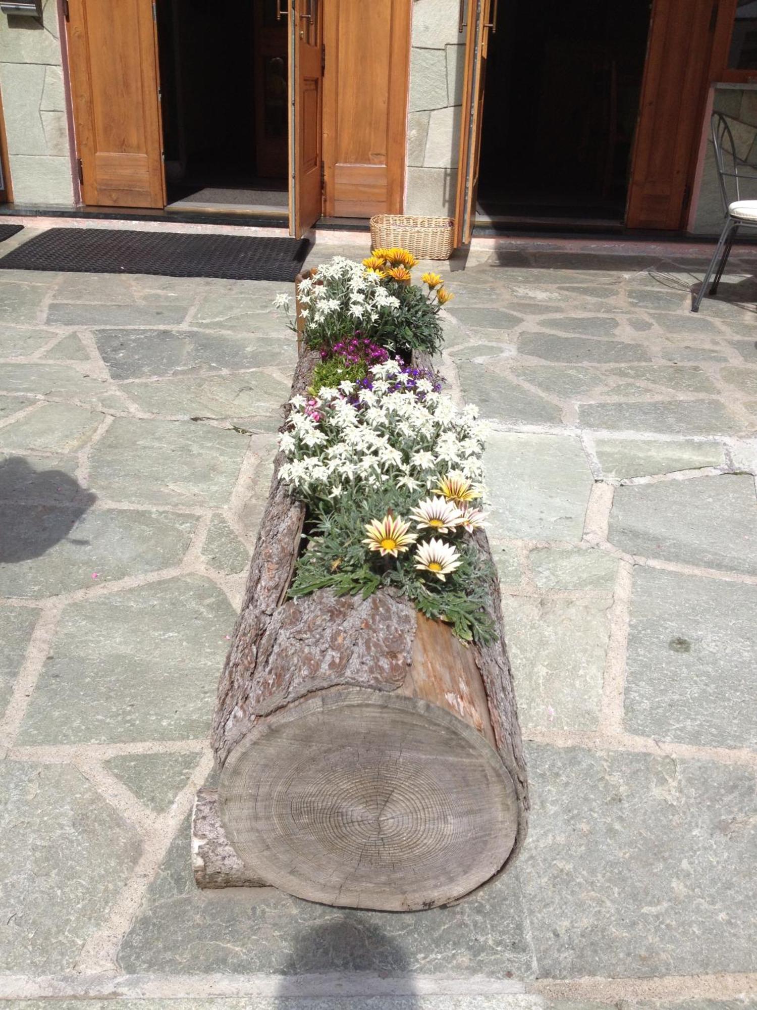 Hotel Soldanella Madesimo